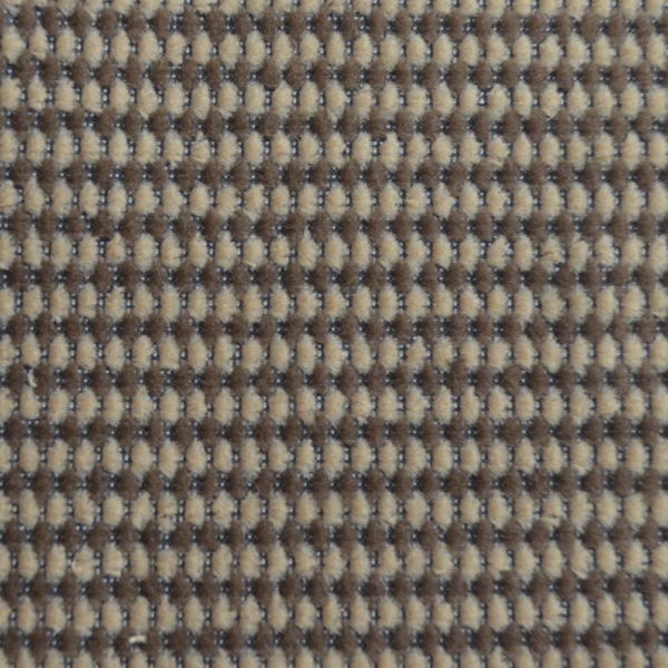 Gama Beige - Image 2