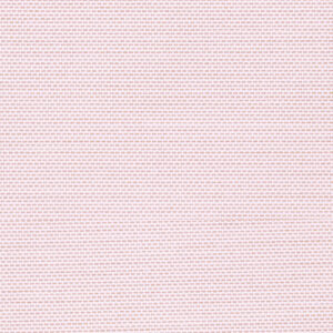 Luvenza - Point Apricot Gelato